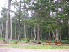 s_PICT0638_thumb.png